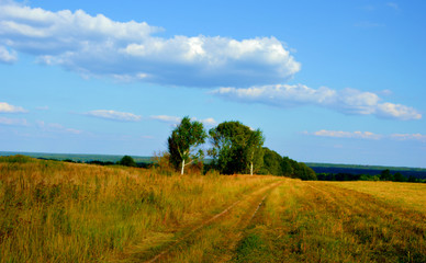 Fototapeta premium Брянское лето