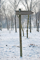 wooden Road Sign