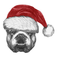 Portrait of English Bulldog with Santa Hat. Hand drawn illustration.