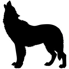 Fototapeta premium silhouette of a wolf 2