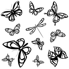 butterflies design