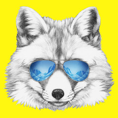 Portrait of Fox with mirror sunglasses. Hand drawn illustration.