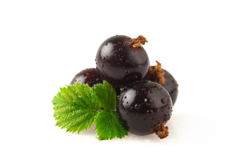 Black currant on a white