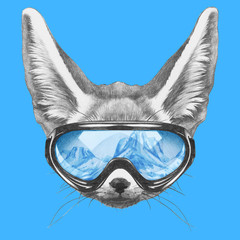 Portrait of Fennec Fox with ski goggles. Hand drawn illustration.