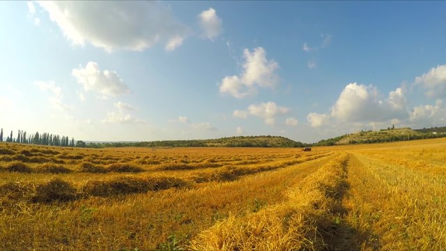 Stripes Of Stubble Hay Lying On Yellow Field