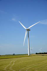 Fototapeta premium Windräder