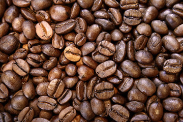Coffee beans closeup