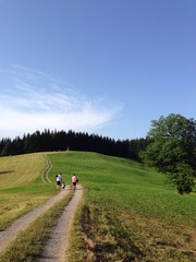 Familie bei einer Wanderung