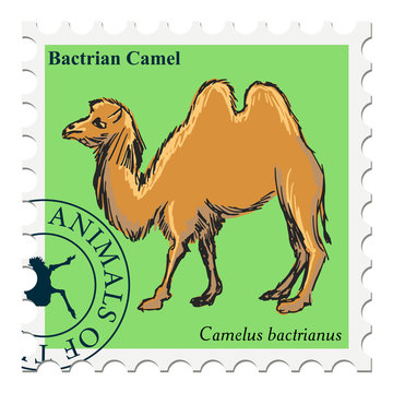 stamp with animal
