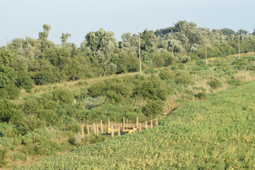 Naklejka premium The gas pipeline through the small river