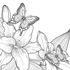 beautiful background for greeting card with monochrome black and white lilies and butterflies