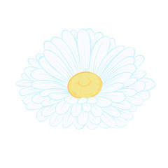 beautiful daisy flower isolated on white background. Hand-drawn contour lines and strokes.