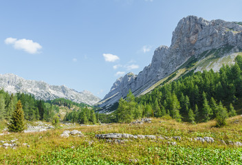 Mountains in summertime, Slovenia national park of Triglav.