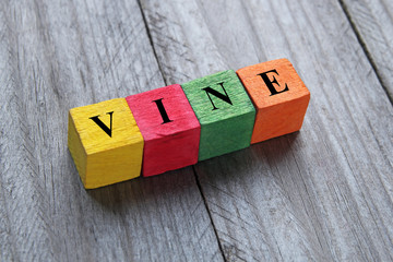 word vine on colorful wooden cubes