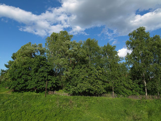 Obraz premium Old rural fence