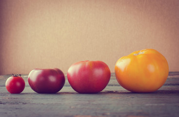Colorful different kinds of tomatoes on wooden background