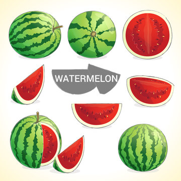 Set of watermelon in various styles vector format