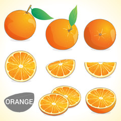 Set of orange fruit  in various styles vector format