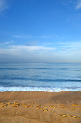 Beautiful beach with blue sky at Mai khao beach, Phuket, Thailand..