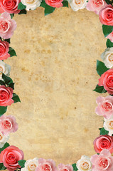 Romantic vintage rose background