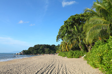 Fototapeta na wymiar Sandy beach in Batu Ferringhi, Penang Island, Malaysia..
