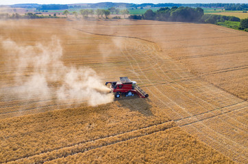 Combine working on the wheat field