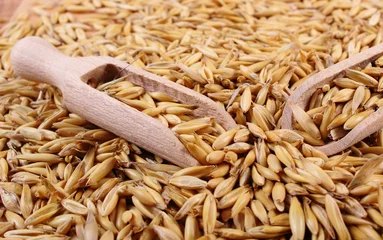 Gordijnen Organic oat grains with wooden spoon, healthy nutrition © ratmaner