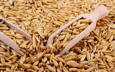 Gordijnen Organic oat grains with wooden spoon, healthy nutrition © ratmaner