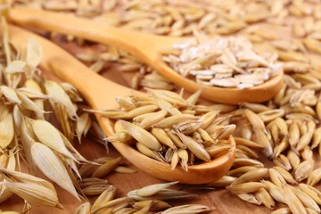 Selbstklebende Fototapeten Organic oat grains and oatmeal on wooden spoon, healthy nutrition © ratmaner