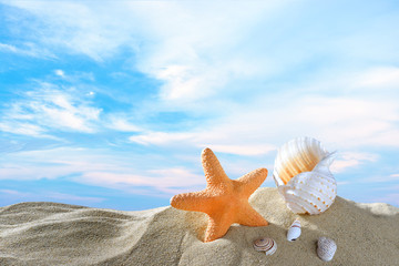 Fototapeta na wymiar Starfish and seashells on the sandy beach in summer with blue sea and sky travel icon