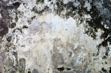 Grunge Wall Background.