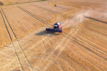 Combine working on the wheat field