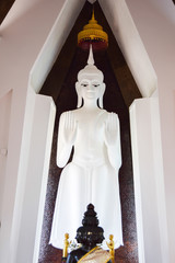 buddha statue white  at korat
