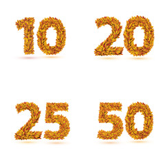Numbers of autumn leaves collection.