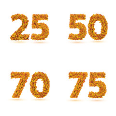 Numbers of autumn leaves collection.