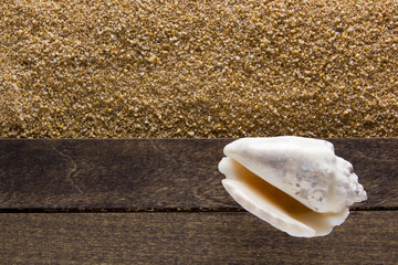 Background with beach sand