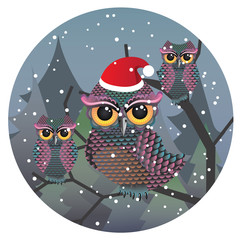Cute Christmas Owl