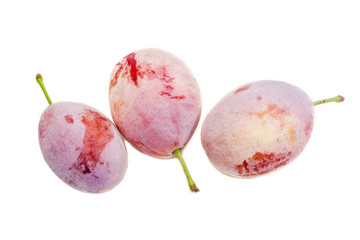 Three plums closeup on a light background