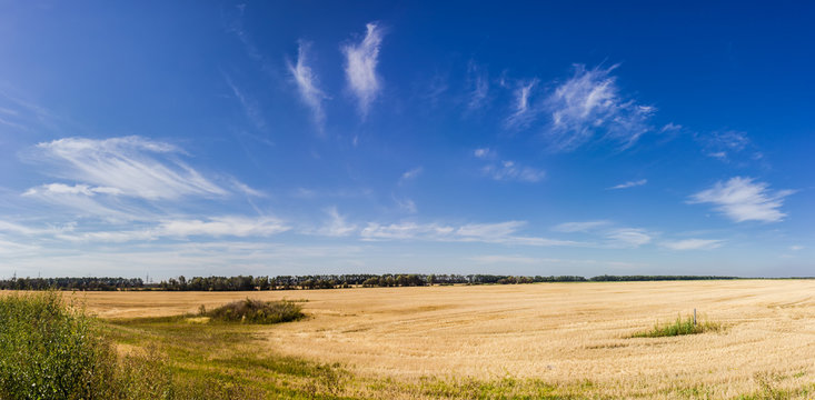 Sky with cirrus clouds over the field after harvest