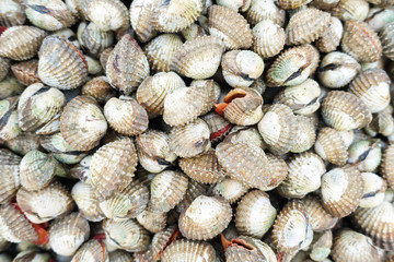 fresh cockles for sale at a market