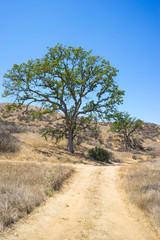 Fototapeta na wymiar Offroad Trail in California Hills