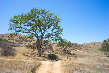 Dusty Trail in California