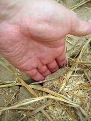 Hand in Bodenspalte