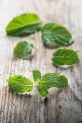 Mint on wood background.