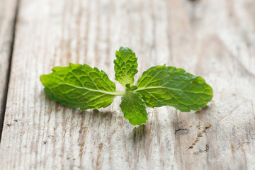 Fresh mint on wooden background.