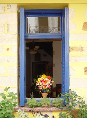 window with a flower