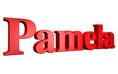 3D Pamela text on white background