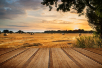 Rural landscape image of Summer sunset over field of hay bales w