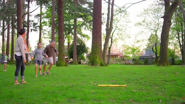Family playing baseball in a park
