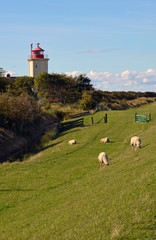 Leuchtturm Westermarkelsdorf hinterm Deich